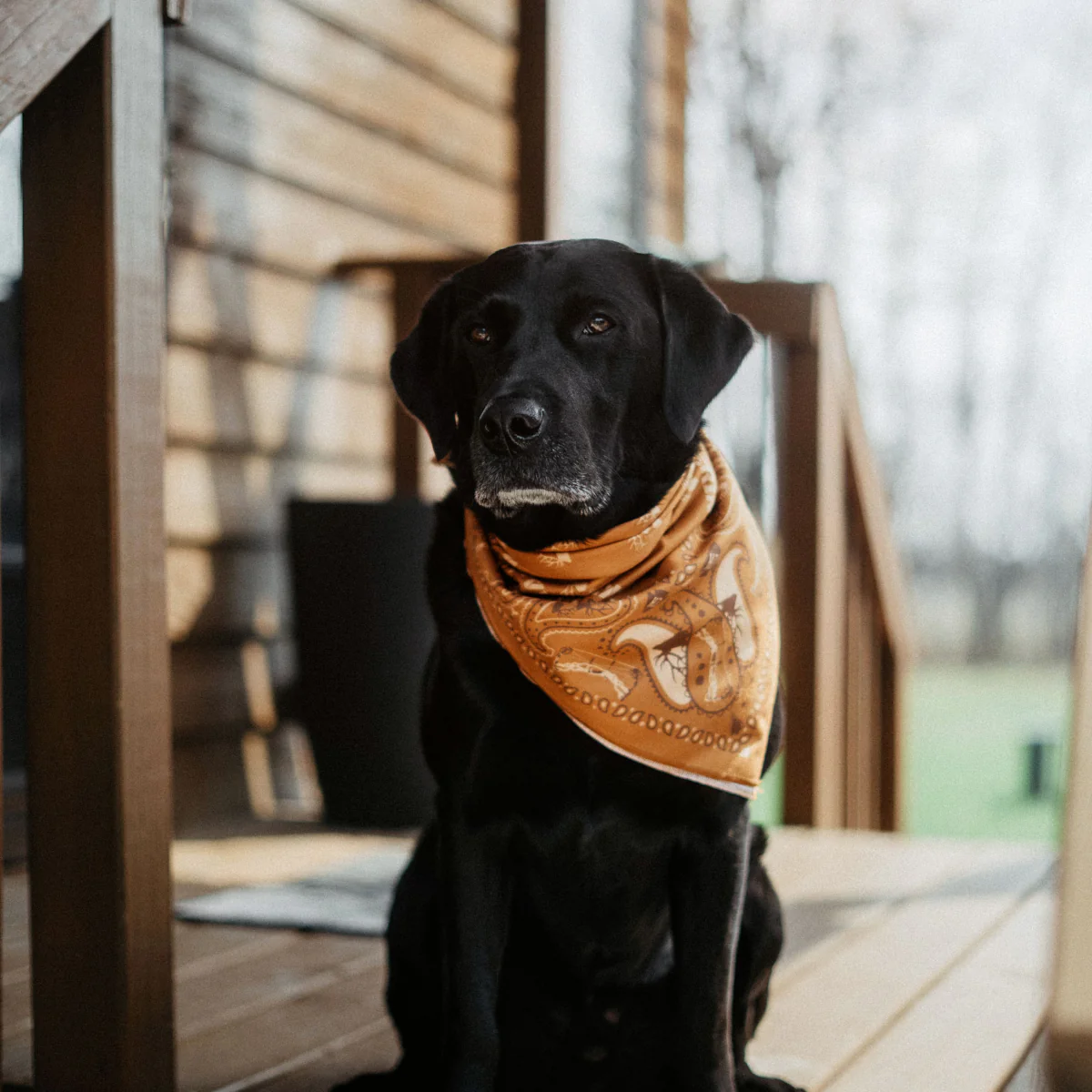 KEEP HAMMERING OG BANDANAS - Image 5