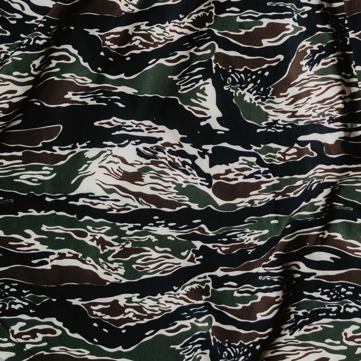 STRIDER PREDATOR SHORTS - Image 8